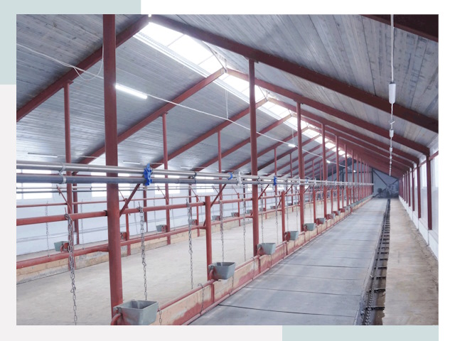 Строительство коровников в Новотроицке от 628 руб.