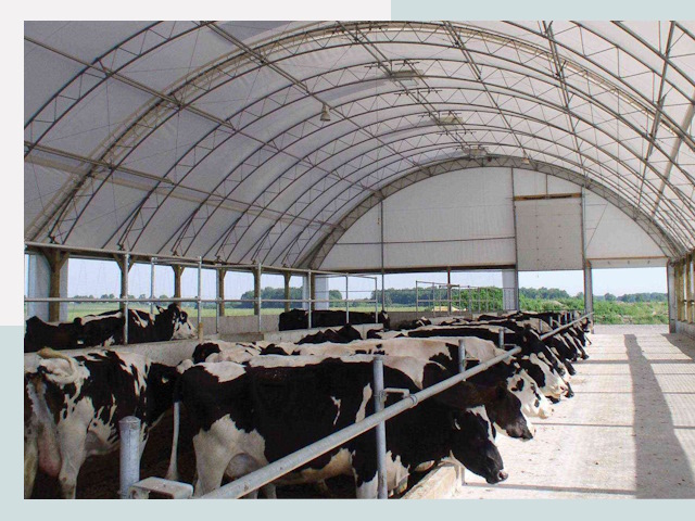 Тентовые коровники в Новотроицке